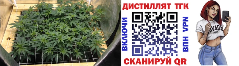 Дистиллят ТГК гашишное масло  Шатура 